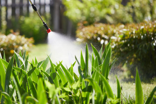 Tamper-Resistant Bait Stations for Rodents in Natalbany