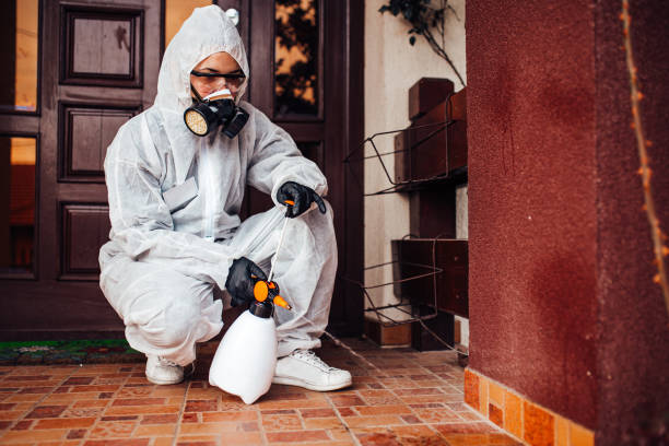 Attic and Crawl Space Rodent Treatment in Natalbany