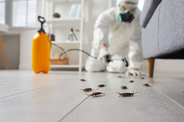 Commercial Rodent Management in Natalbany